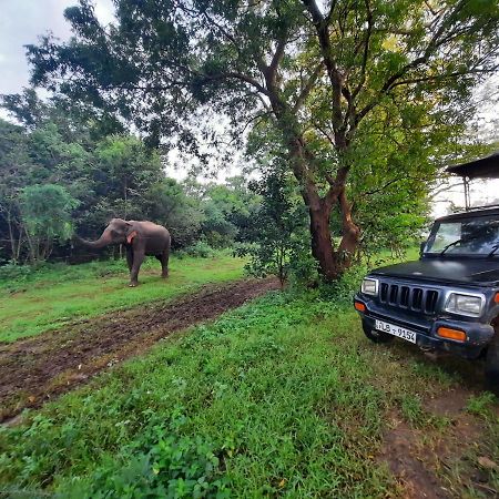 Hostel -In Frant Of The National Park- Udawalawe Luaran gambar