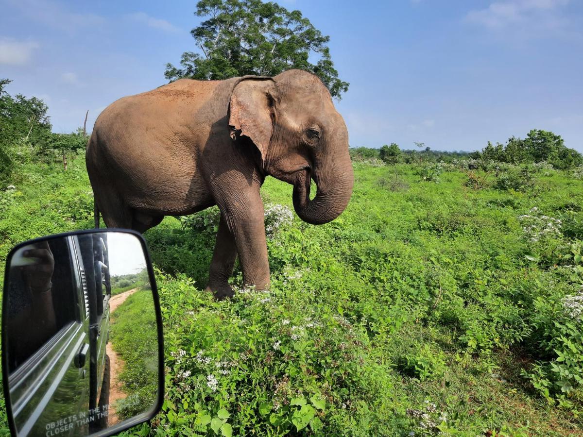 Hostel -In Frant Of The National Park- Udawalawe Luaran gambar