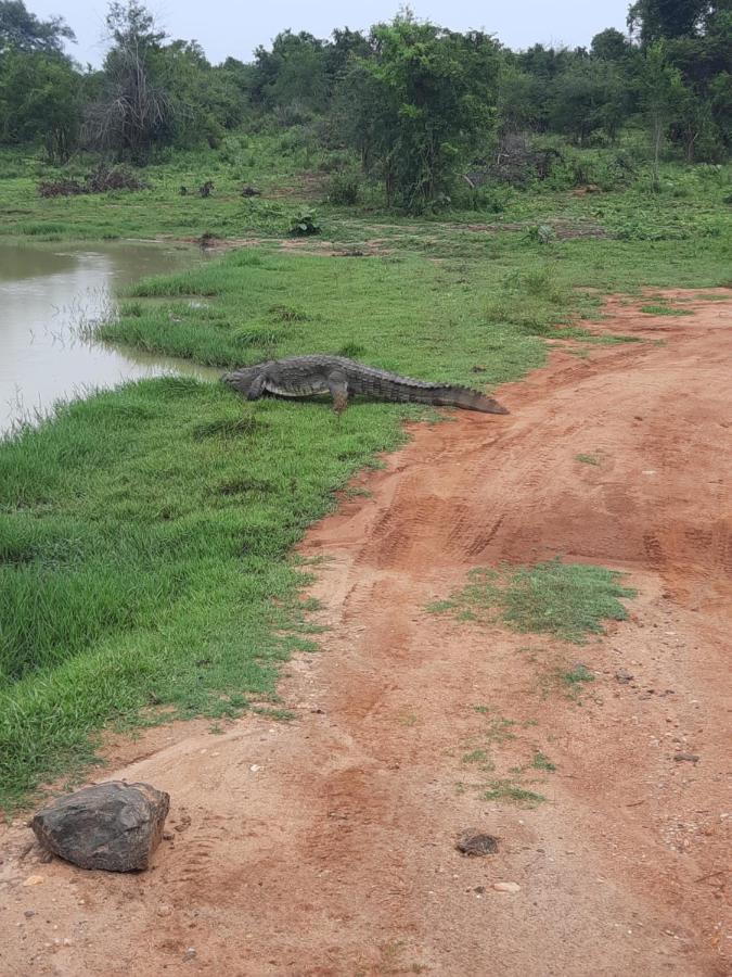 Hostel -In Frant Of The National Park- Udawalawe Luaran gambar