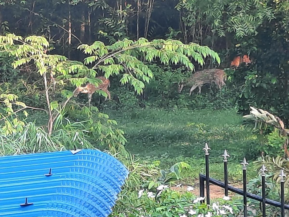 Hostel -In Frant Of The National Park- Udawalawe Luaran gambar