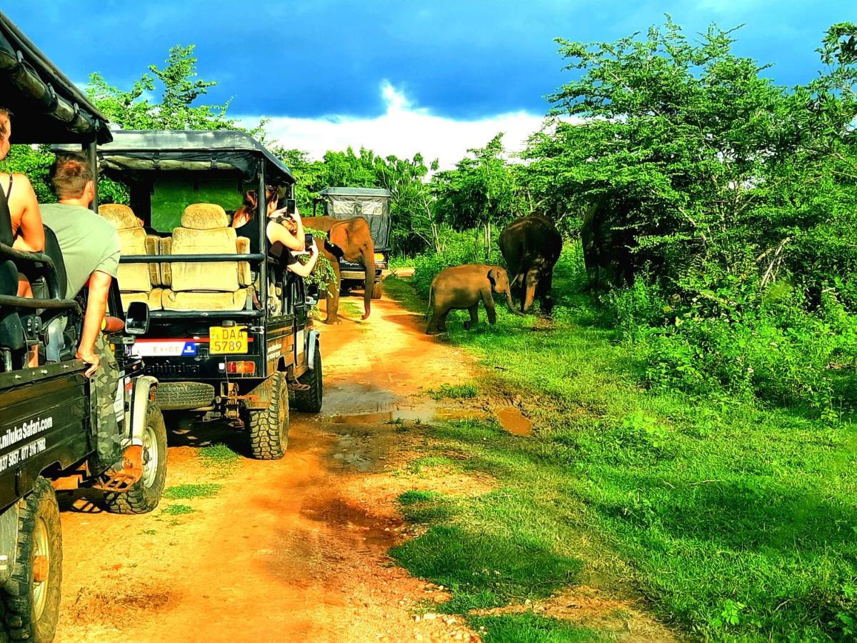 Hostel -In Frant Of The National Park- Udawalawe Luaran gambar