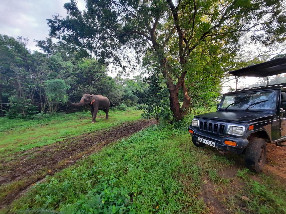 Hostel -In Frant Of The National Park- Udawalawe Luaran gambar