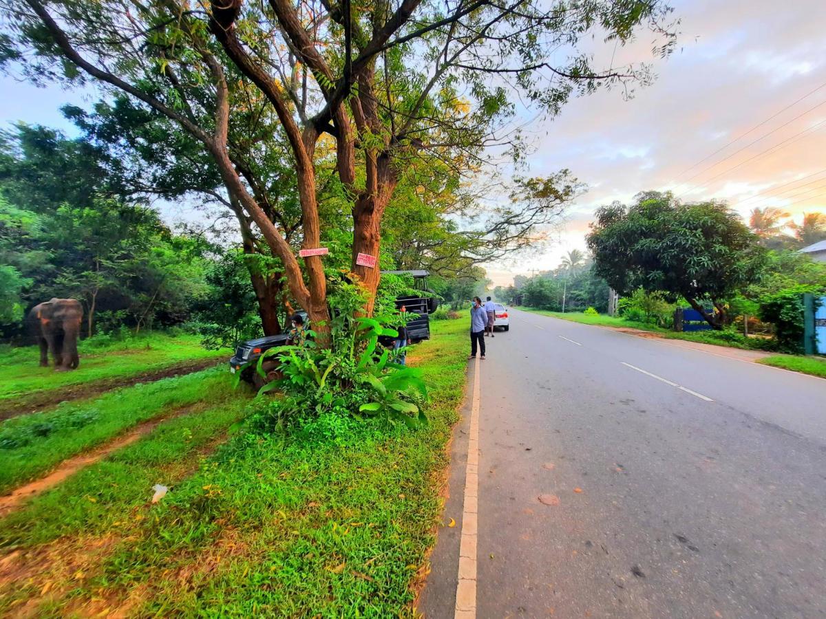 Hostel -In Frant Of The National Park- Udawalawe Luaran gambar