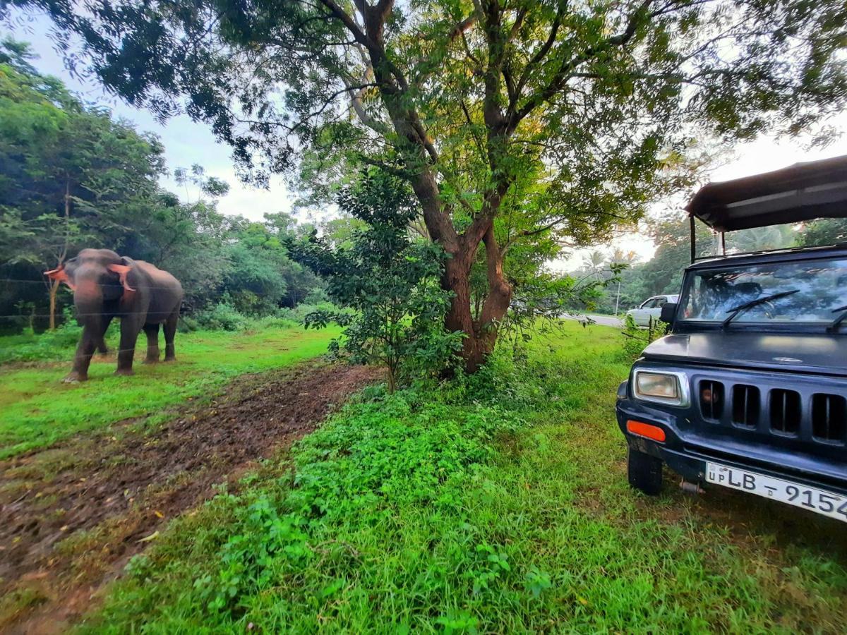 Hostel -In Frant Of The National Park- Udawalawe Luaran gambar